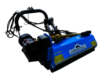 IMG_2474-—asp